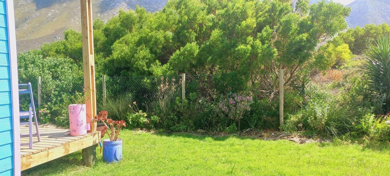 Cat Nap Cottage Bettyʼs Bay Exterior foto