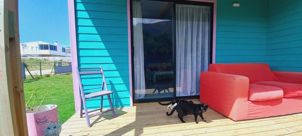 Cat Nap Cottage Bettyʼs Bay Exterior foto