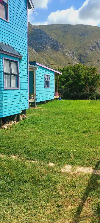 Cat Nap Cottage Bettyʼs Bay Exterior foto
