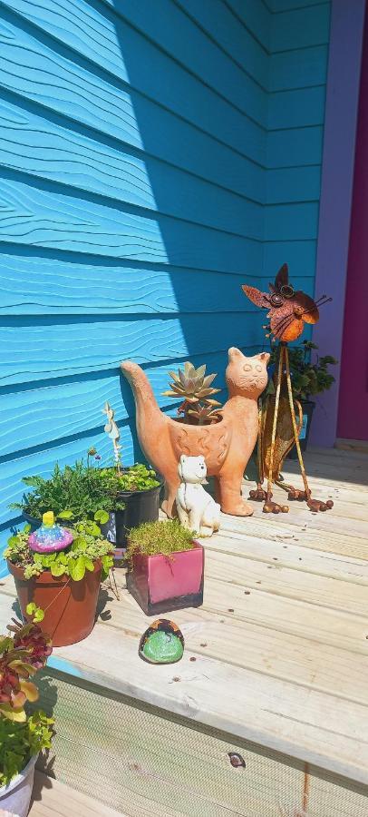 Cat Nap Cottage Bettyʼs Bay Exterior foto