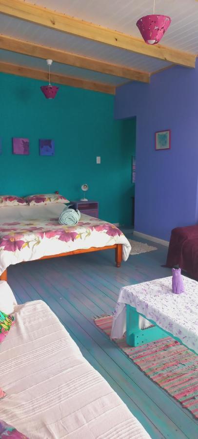 Cat Nap Cottage Bettyʼs Bay Exterior foto