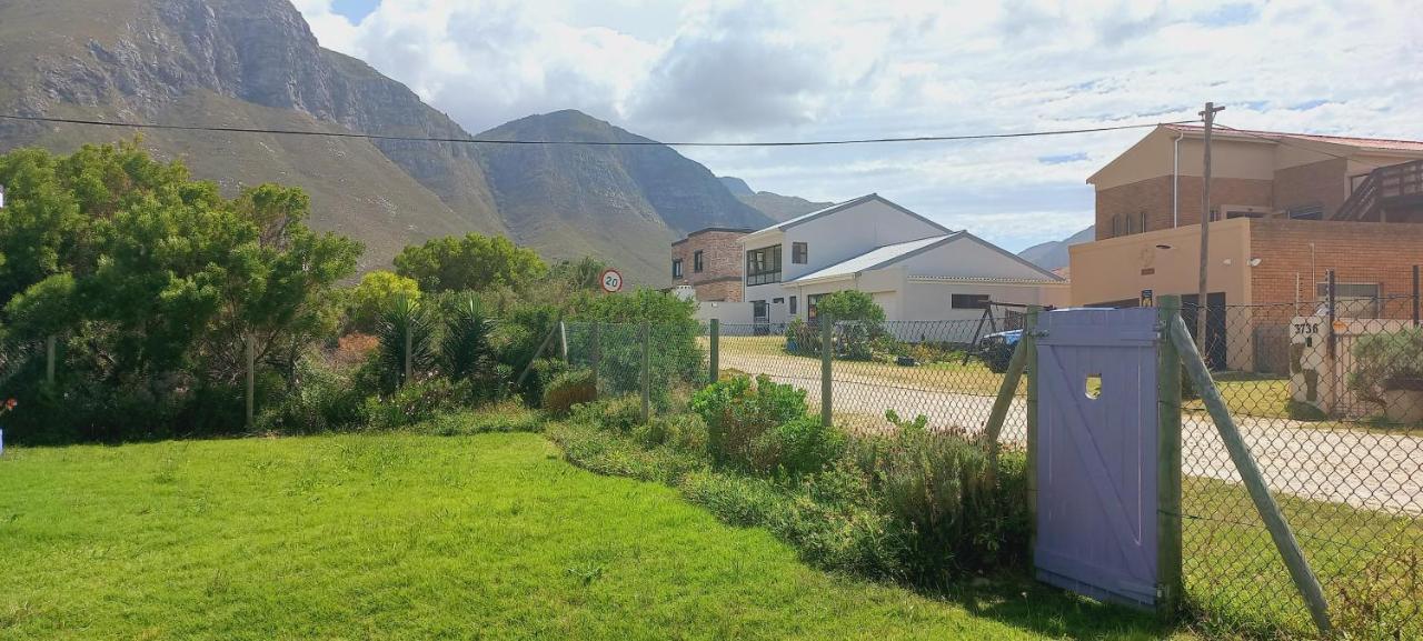 Cat Nap Cottage Bettyʼs Bay Exterior foto